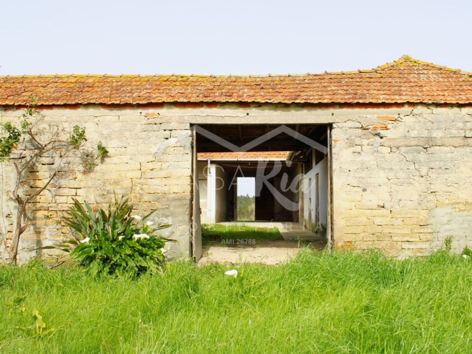Willa: Arouca, Aveiro – zdjęcie 5