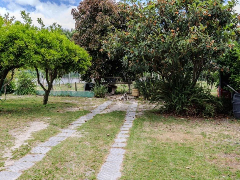 Willa: Almada, Setubal – zdjęcie 4