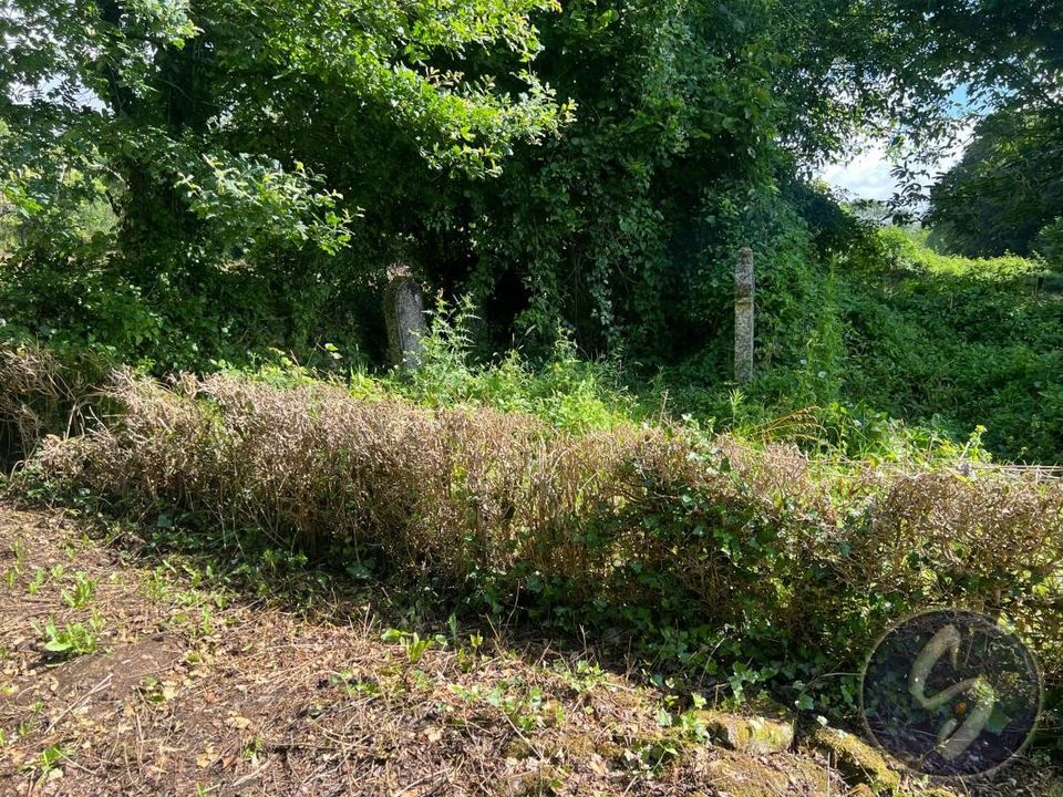 Helårsgrund i Saivres, Deux-Sevres - foto 5