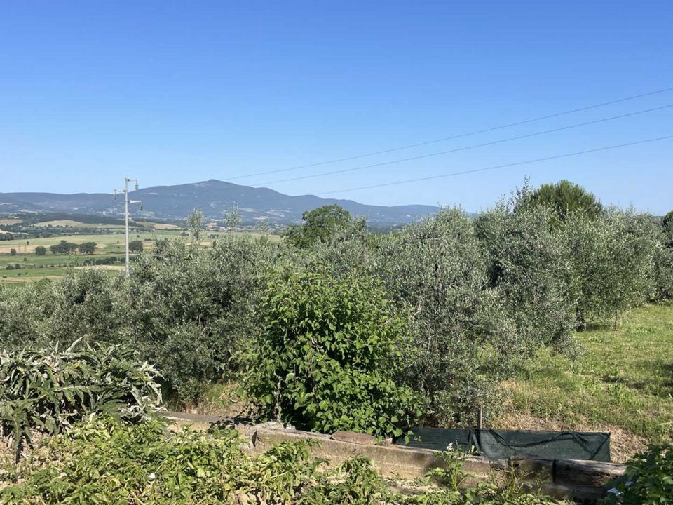 Villa i Monteleone d'Orvieto, Terni - foto 1
