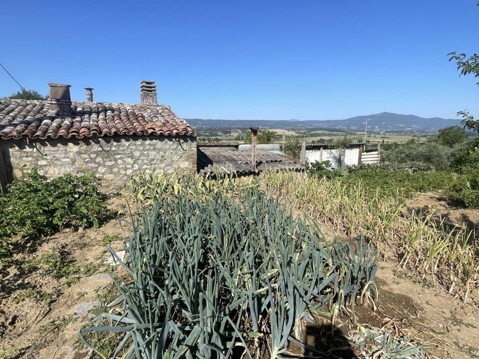 Villa i Monteleone d'Orvieto, Terni - foto 3
