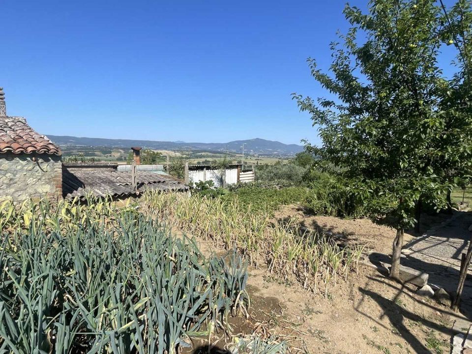 Villa i Monteleone d'Orvieto, Terni - foto 4