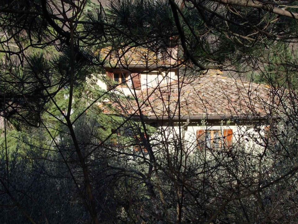 Masia a Rufina, Florence - foto 5