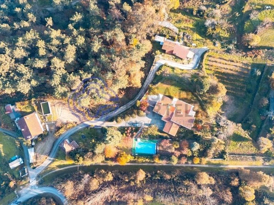 Gård i Amarante, Porto - bilde 2