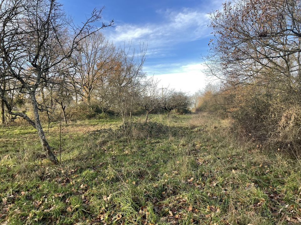 Grond in Saint-Sylvestre-Pragoulin, Puy-de-Dome - foto 1