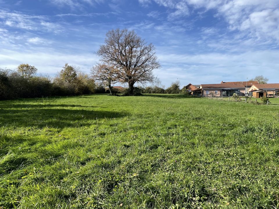 Grond in Saint-Sylvestre-Pragoulin, Puy-de-Dome - foto 1