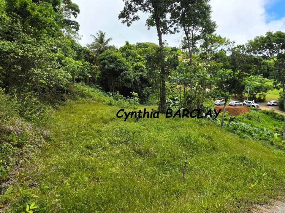 Terra em Sainte-Luce, Martinique - foto 3