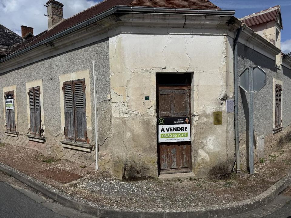 Villa - Saint-Michel-en-Brenne, Indre - photo 1