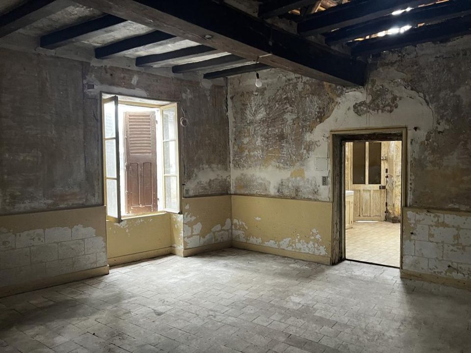 Villa - Saint-Michel-en-Brenne, Indre - photo 3