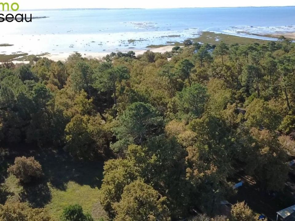 Grond in Lanton, Gironde - foto 1