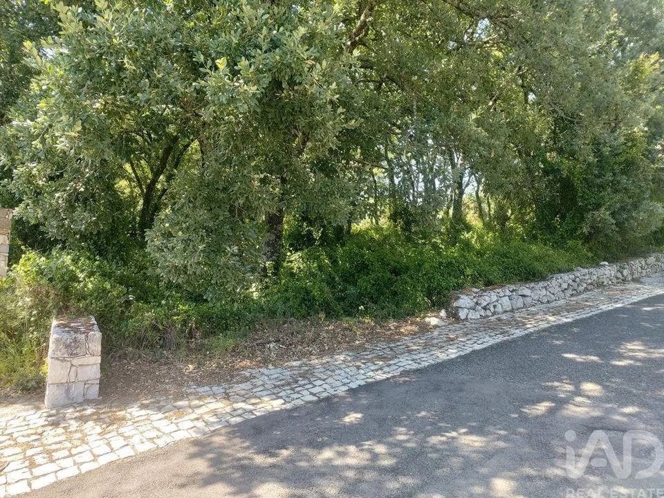 Helårsgrund i Porto de Mos, Leiria - foto 3