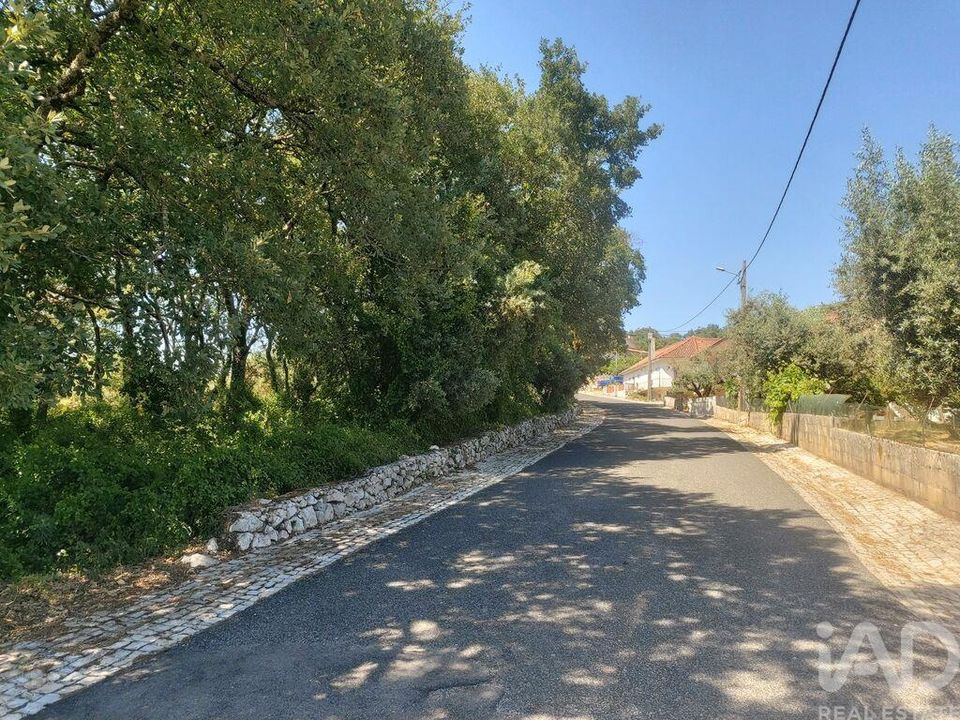 Helårsgrund i Porto de Mos, Leiria - foto 4