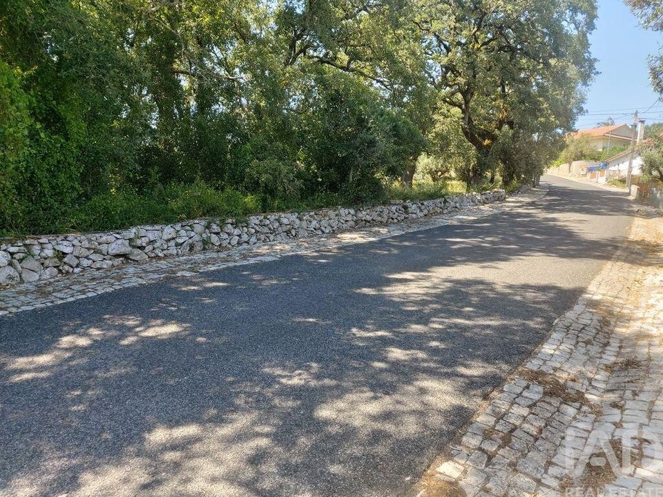 Helårsgrund i Porto de Mos, Leiria - foto 5