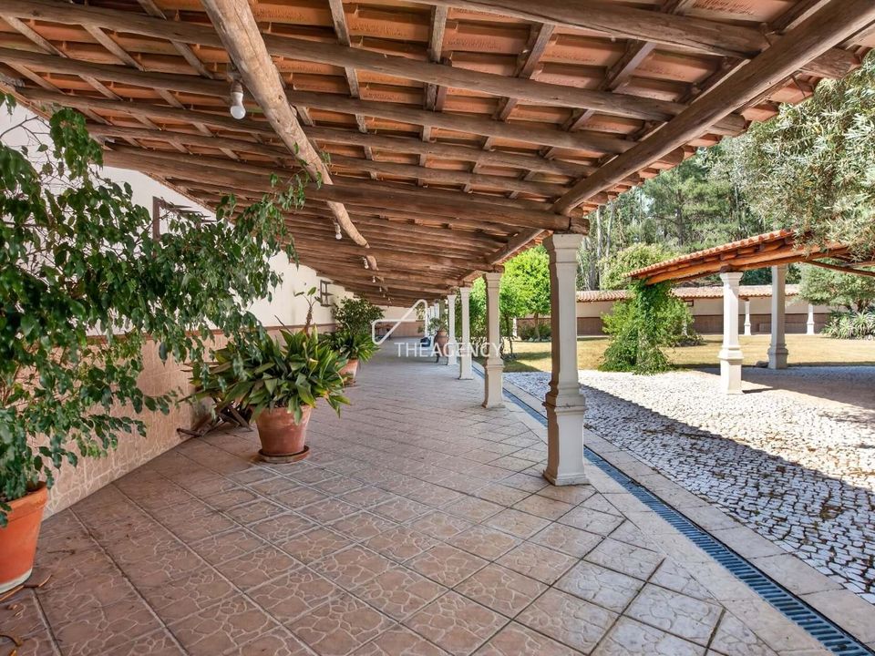 Boerderij in Vale da Pedra, Santarem - foto 3