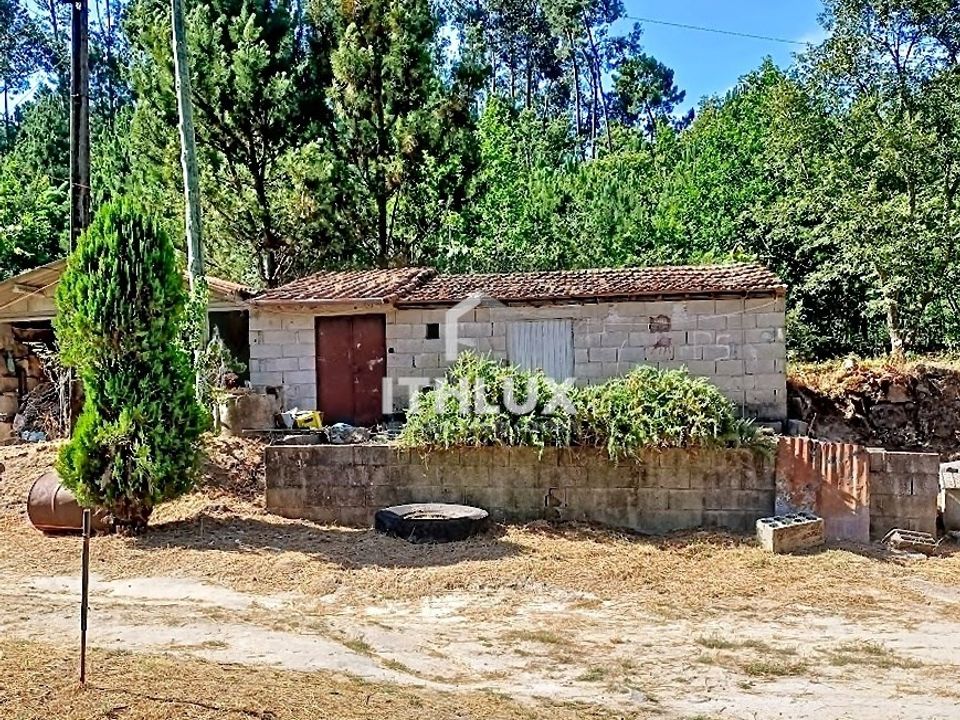 Gårdshus i Sao Pedro do Sul, Viseu - bilde 4