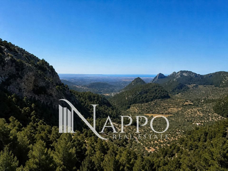Villa i Bunyola, Mallorca - foto 2