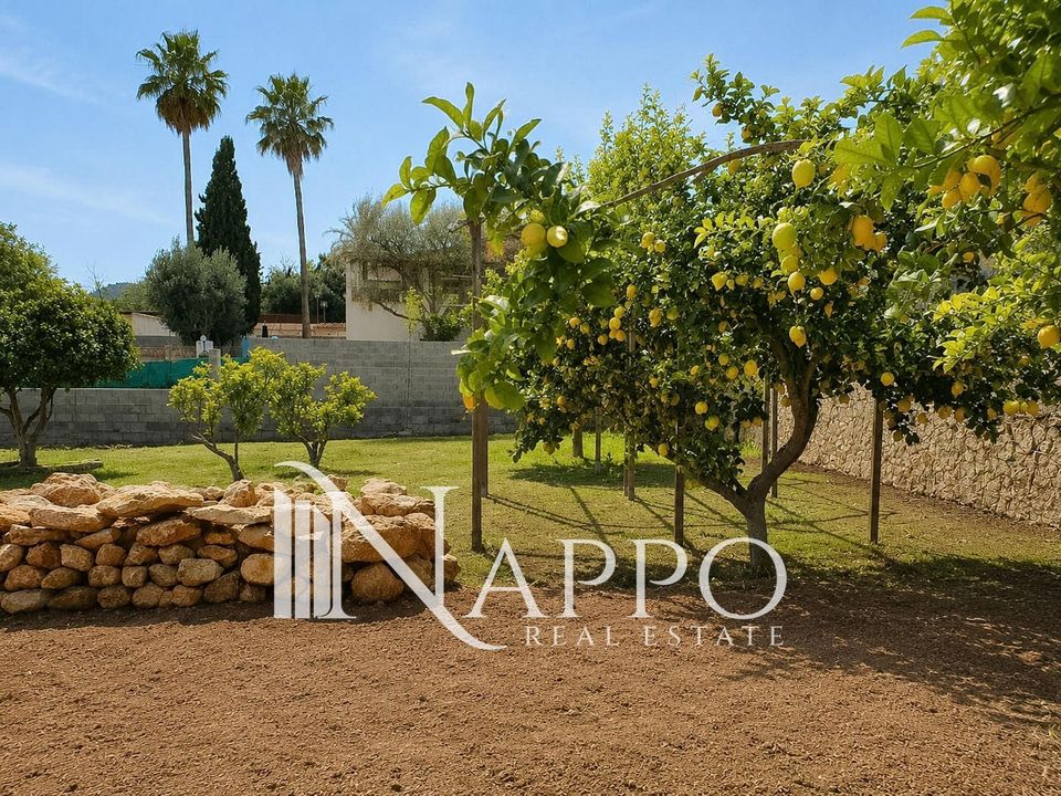 Finca i Palma De Mallorca, Mallorca - foto 5