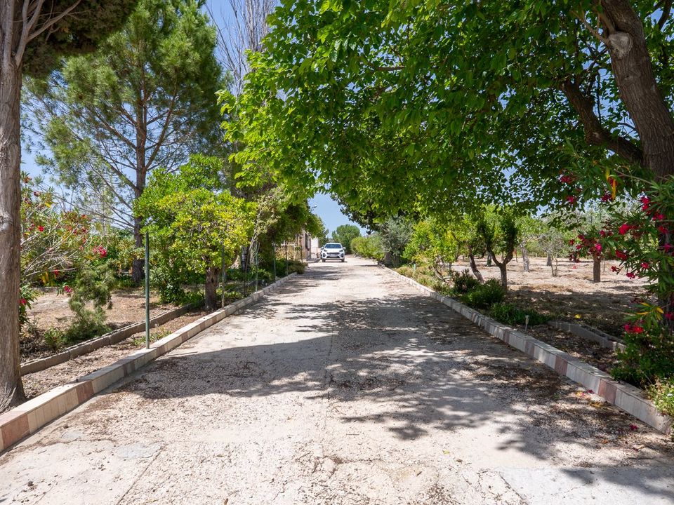 Masia a Salinas, Alicante - foto 5