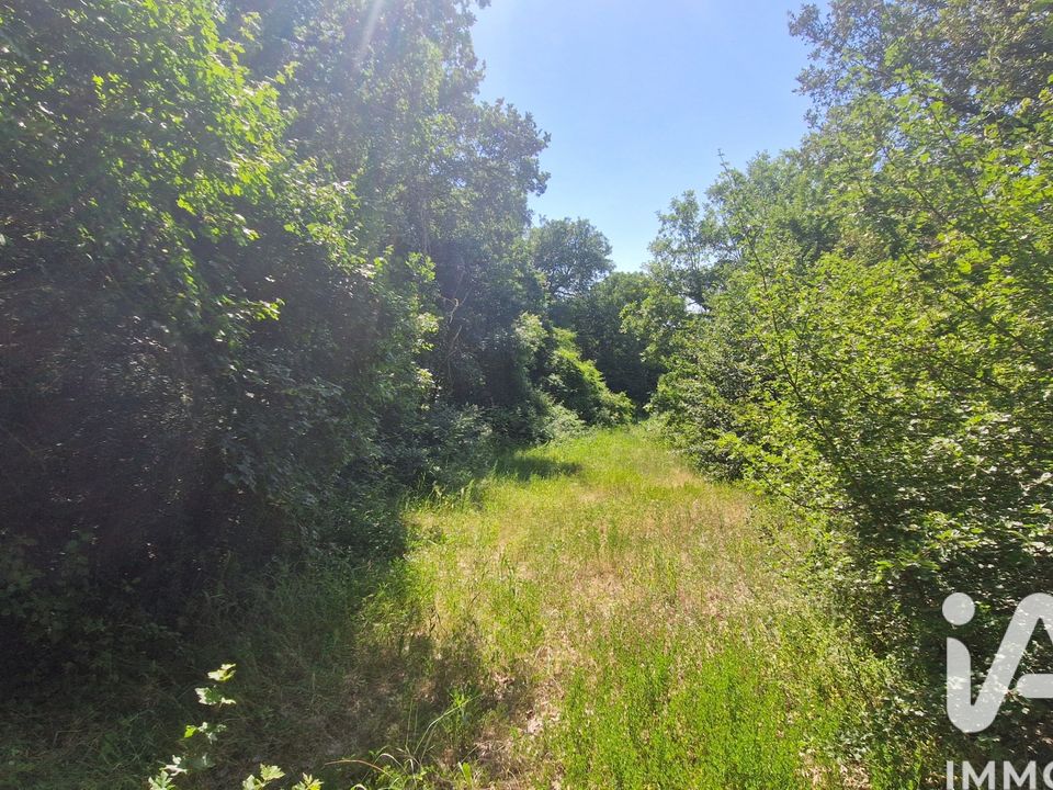Terra a Brunet, Alpes-de-Haute-Provence - foto 5