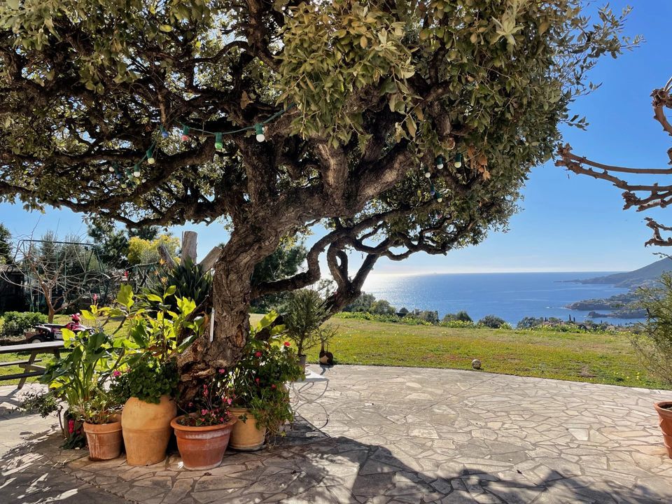 Villa i Theoule-sur-Mer, Alpes-Maritimes - foto 1