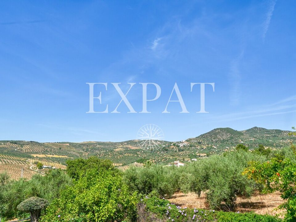 Masia a Periana, Malaga - foto 4