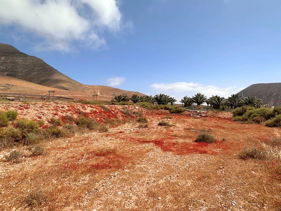 Helårsgrund i Tindaya, Fuerteventura - foto 3