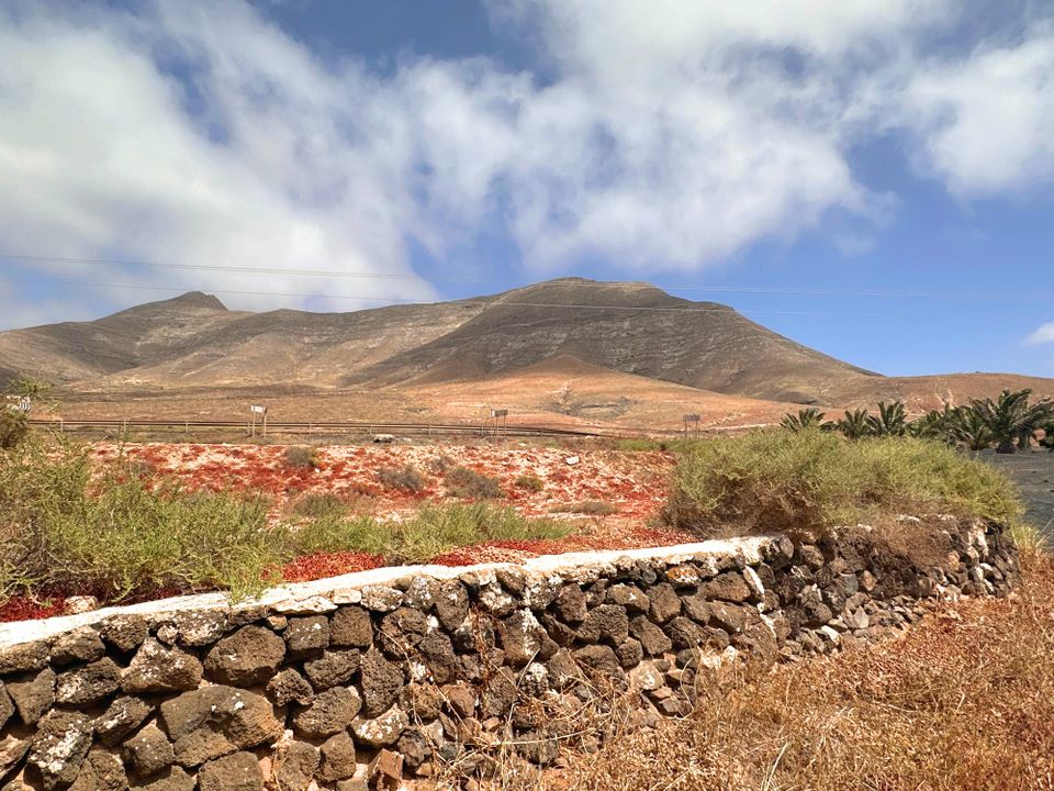 Helårsgrund i Tindaya, Fuerteventura - foto 1