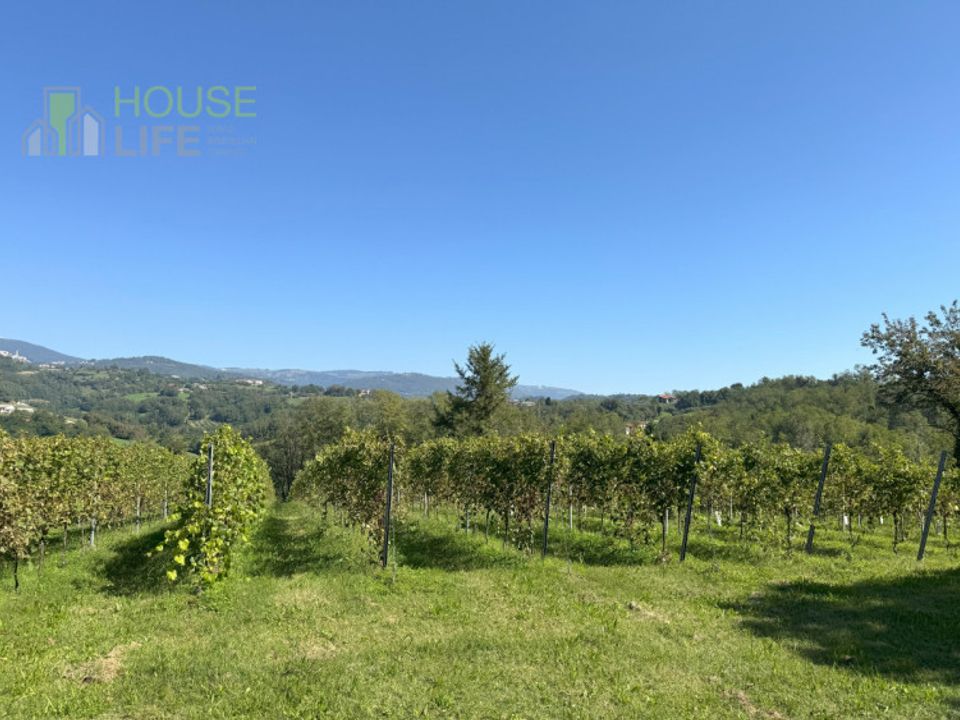 Herregård i Fara Vicentino, Vicenza - bilde 5