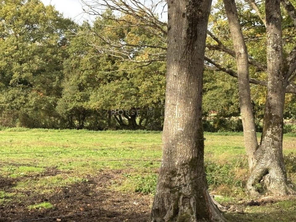 Erhvervsejendom i Nantes, Loire-Atlantique - foto 3