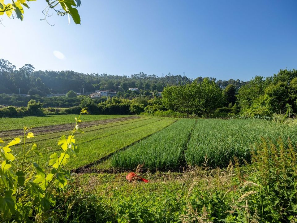 Farm hus i Penafiel, Porto - foto 2