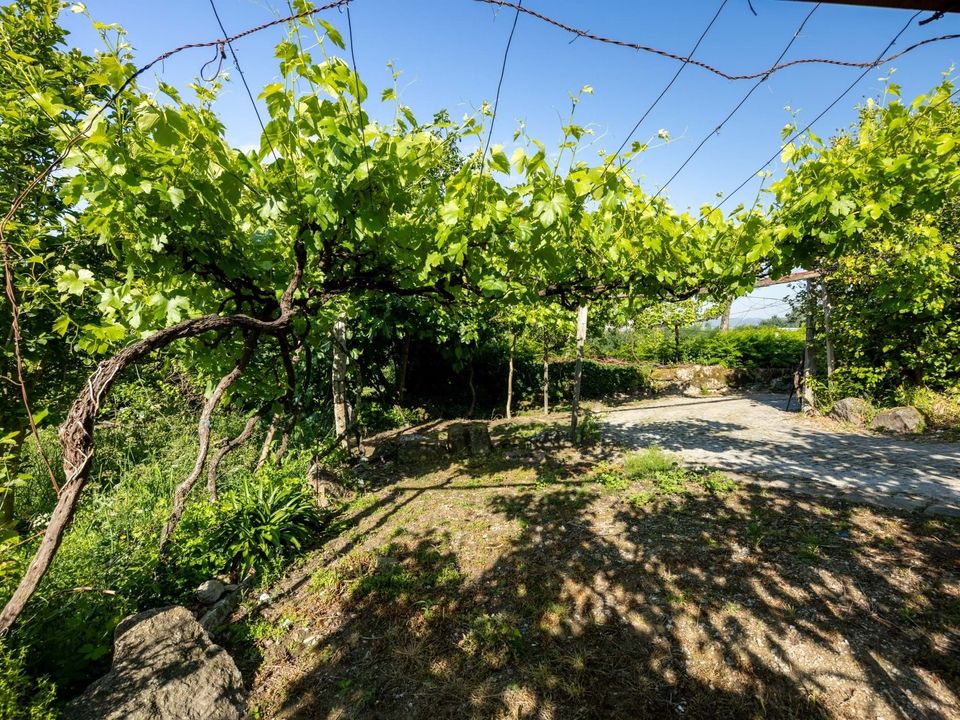 Farm hus i Penafiel, Porto - foto 3