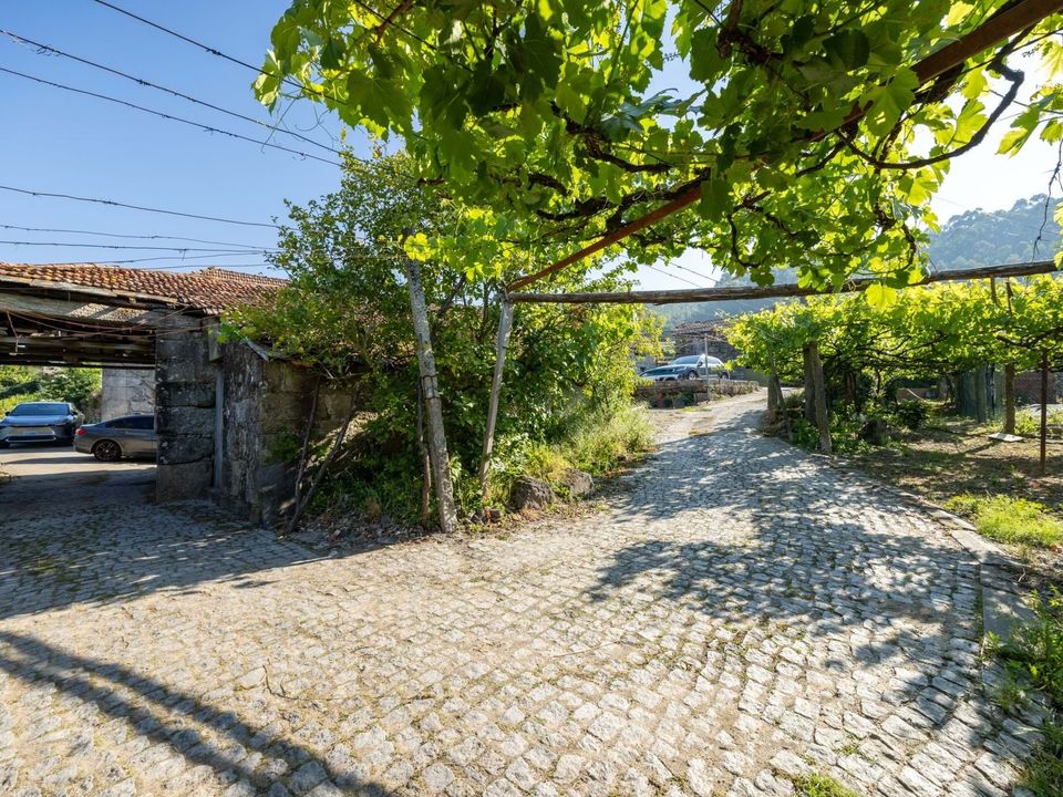 Farm hus i Penafiel, Porto - foto 4