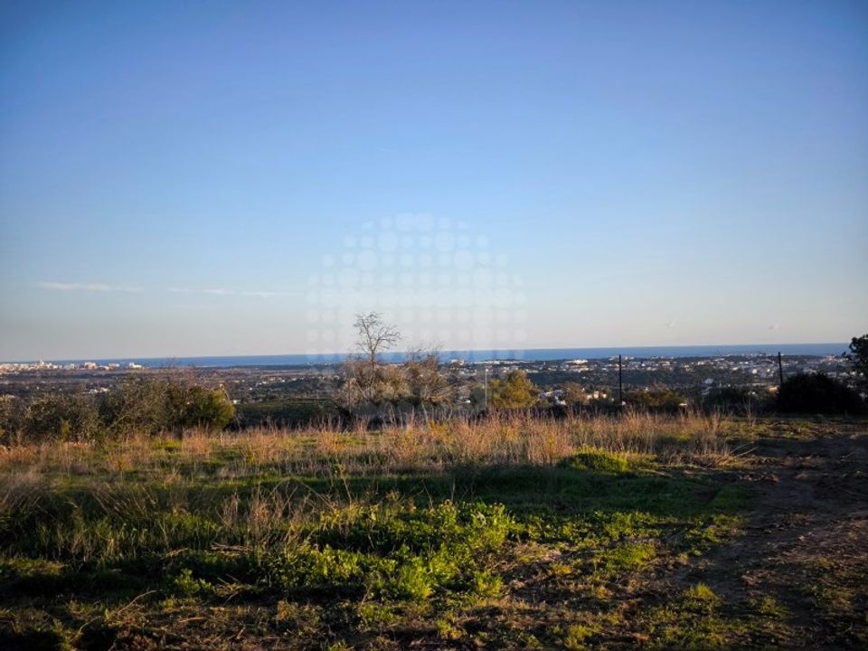 Helårsgrund i Ferreiras, Faro - foto 3