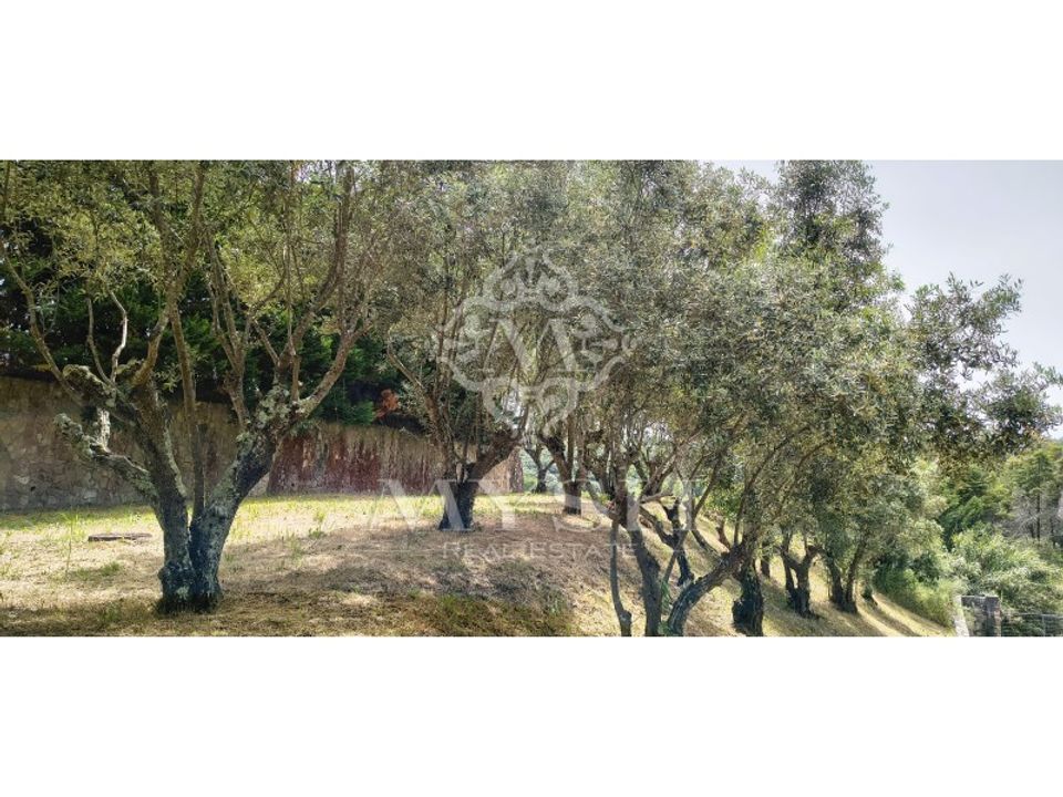 Villa i Belas, Lisbon - foto 5