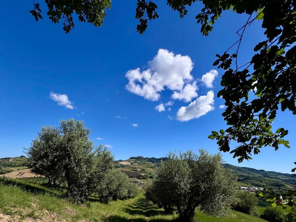 Landhuis in Ripatransone, Ascoli Piceno - foto 3