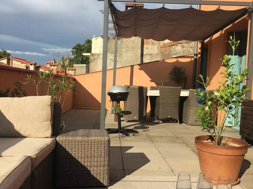 Apartment in Ceret, Pyrenees-Orientales - photo 3