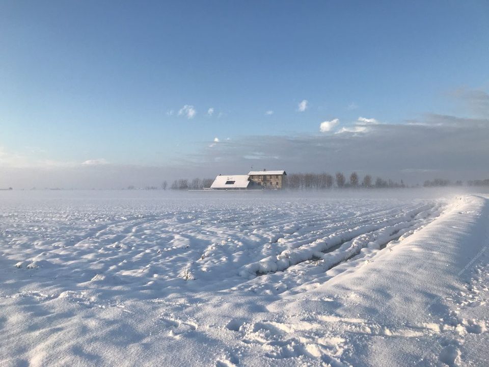 Landejendom i Cerano, Novara - foto 2