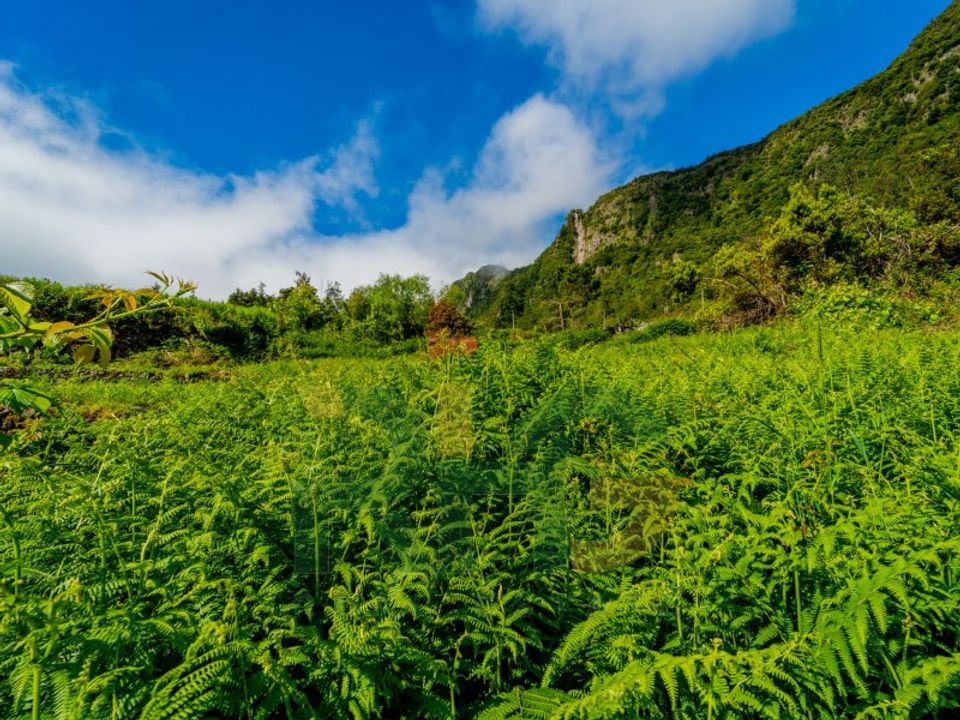 Helårsgrund i Sao Vincente, Madeira - foto 4