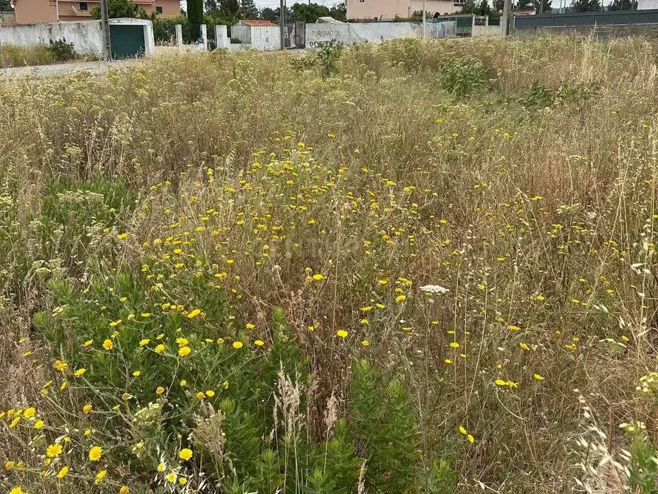 Helårsgrund i Palmela, Setubal - foto 5