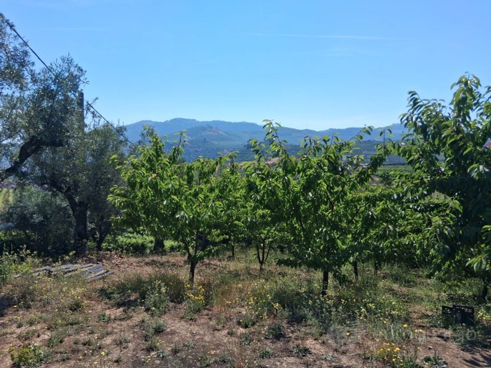 Helårsgrund i Lamego, Viseu - foto 2