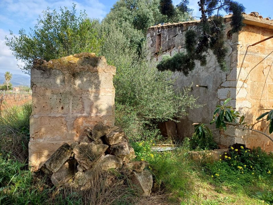 Helårsgrund i Santa Maria Del Cami, Mallorca - foto 1
