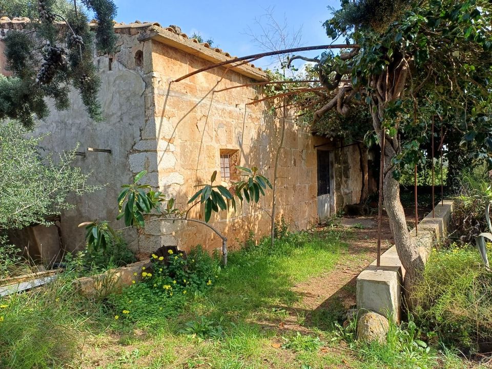 Helårsgrund i Santa Maria Del Cami, Mallorca - foto 2