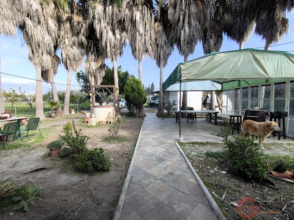 Finca i Motril, Granada - foto 1