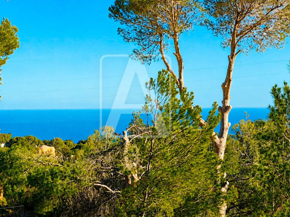 Helårsgrund i Altea, Alicante - foto 1