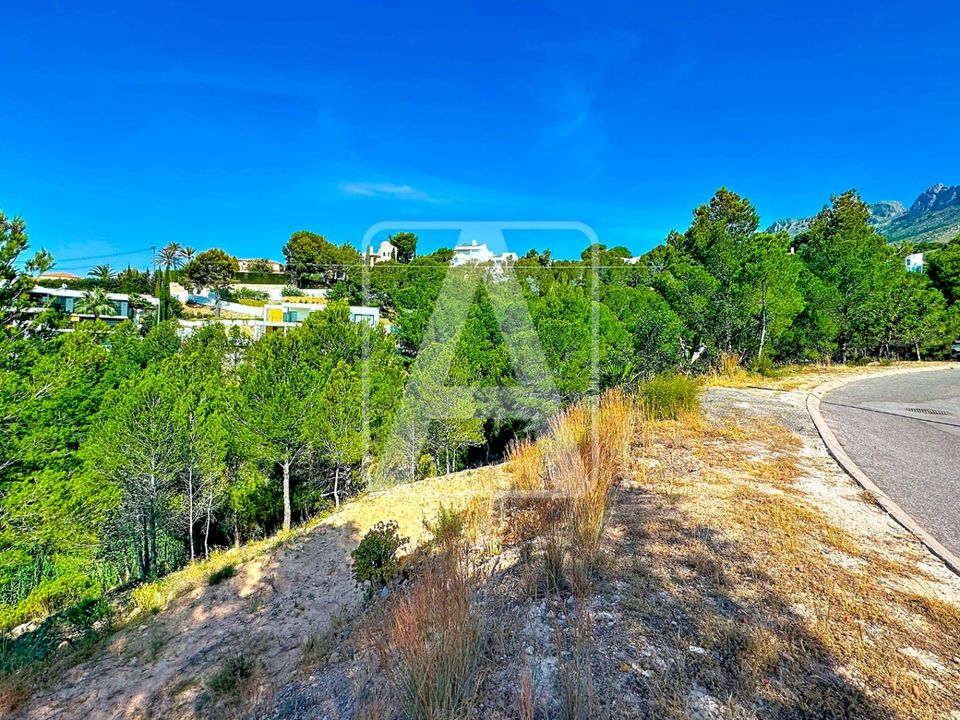 Helårsgrund i Altea, Alicante - foto 5