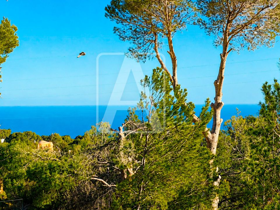 Helårsgrund i Altea, Alicante - foto 2