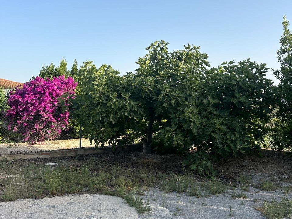 Cortijo en Somontin, Almeria - foto 5