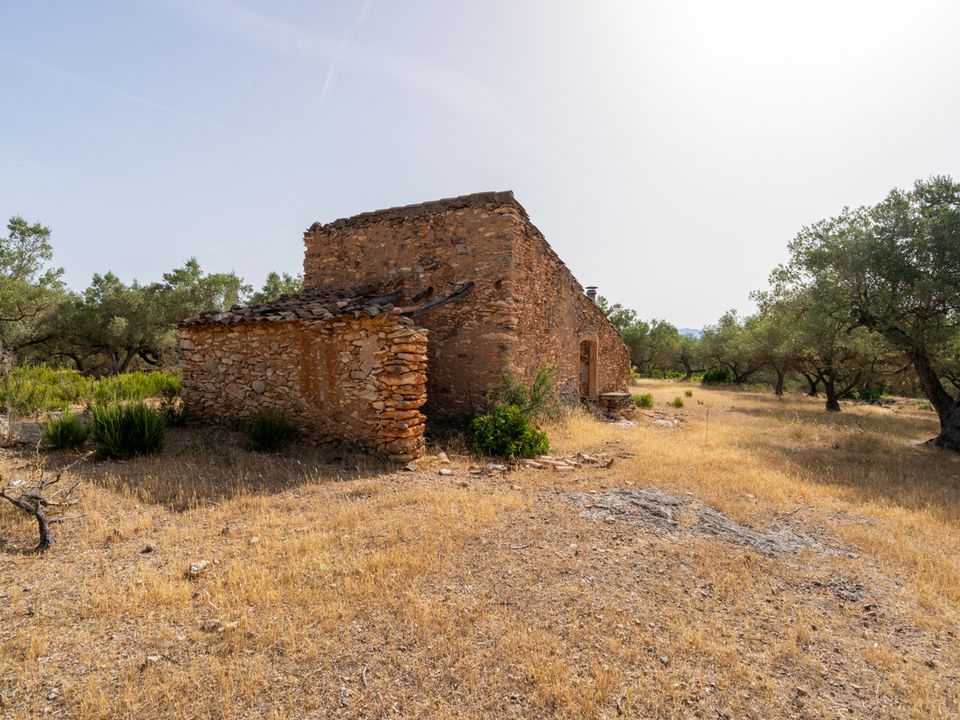 Finca en Rasquera, Tarragona - foto 2