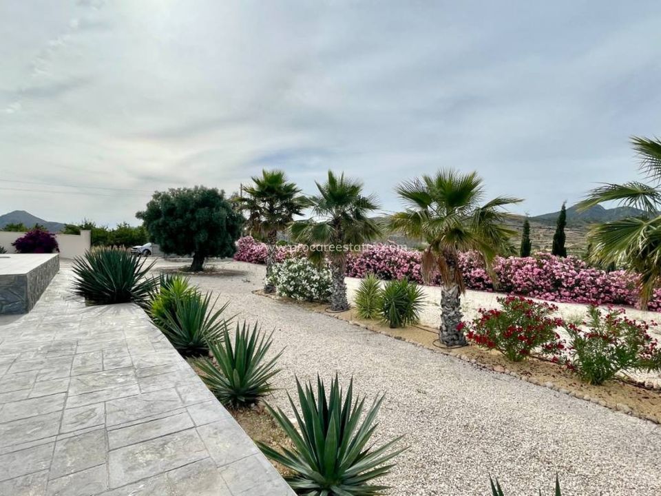 Herregård i Macisvenda, Murcia - bilde 3