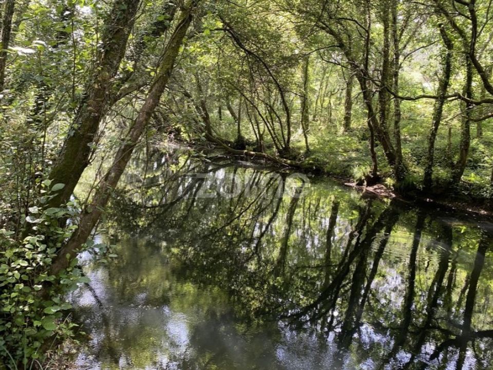 Helårsgrund i Esposende, Braga - foto 1